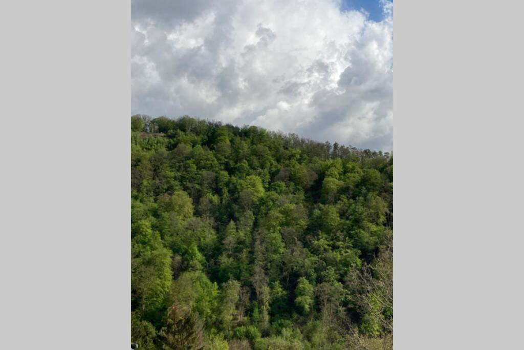 La Mejounete De Lucie Vresse-sur-Semois Exterior foto